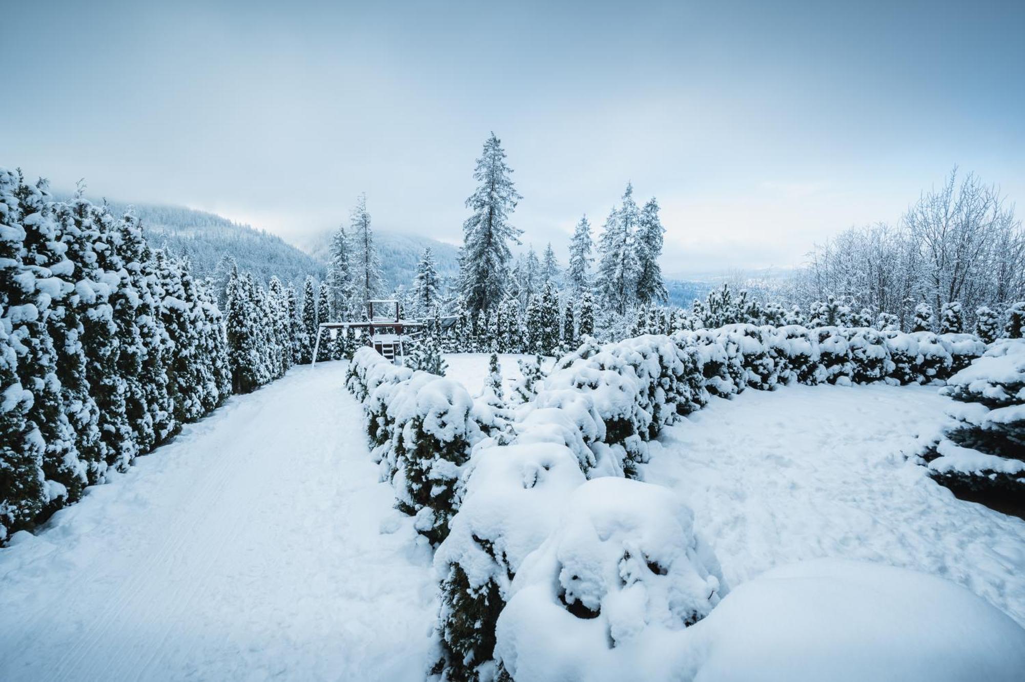 Visitzakopane - Janosik Apartment Luaran gambar